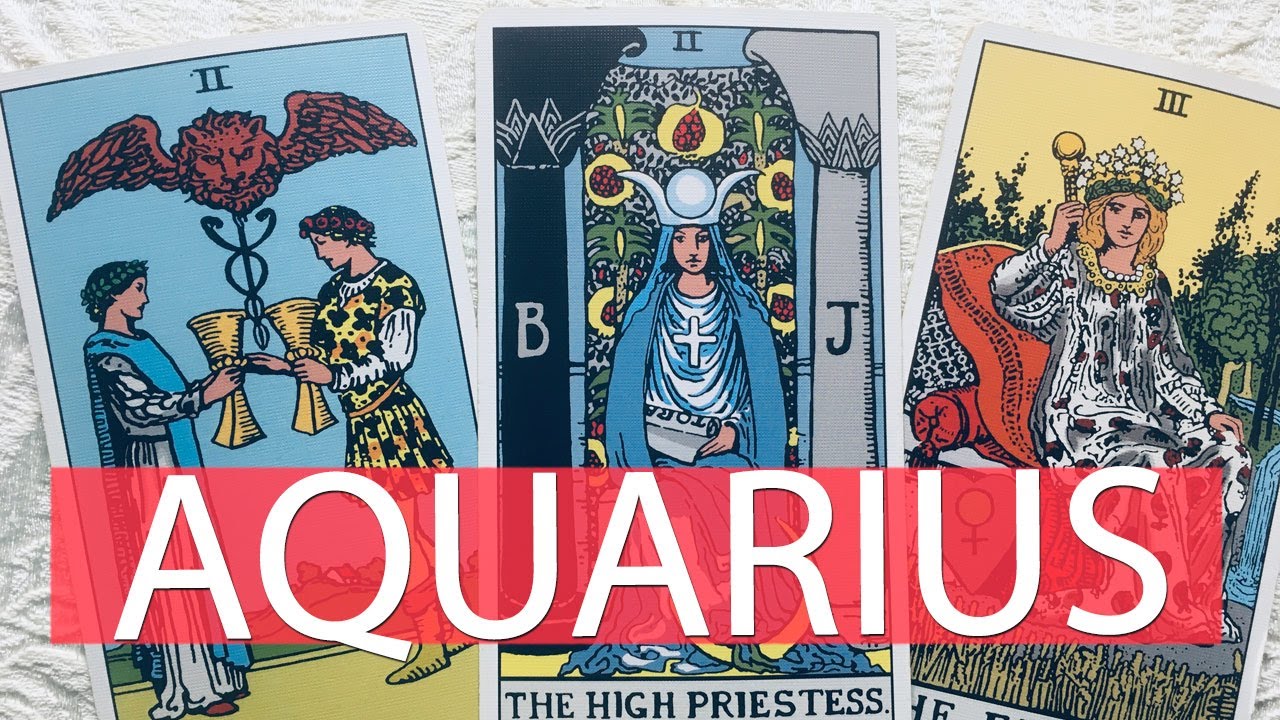 AQUARIUS - THEY KNOW YOU'RE PARTNER MATERIAL