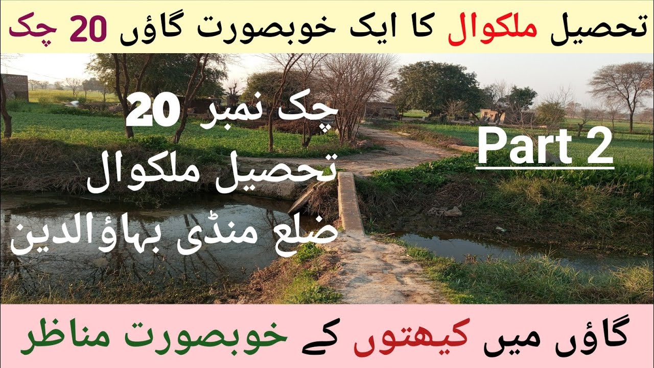 Malakwal 20 Chak Mandi Bahuddin - Rukan Malakwal Road - My Village Vlog - Beautiful Scene Of Village