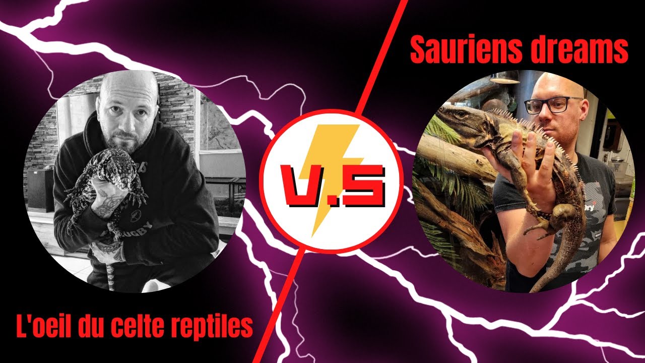 🇫🇷 MATCH #6 : L'OEIL DU CELTE V.S SAURIENS DREAMS La COUPE DE FRANCE TERRARIO 🇫🇷