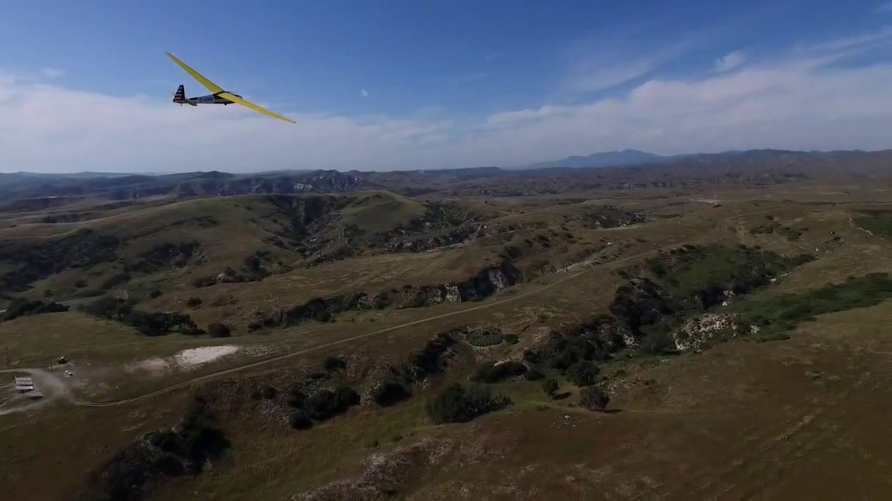 Soaring Giant Scale
