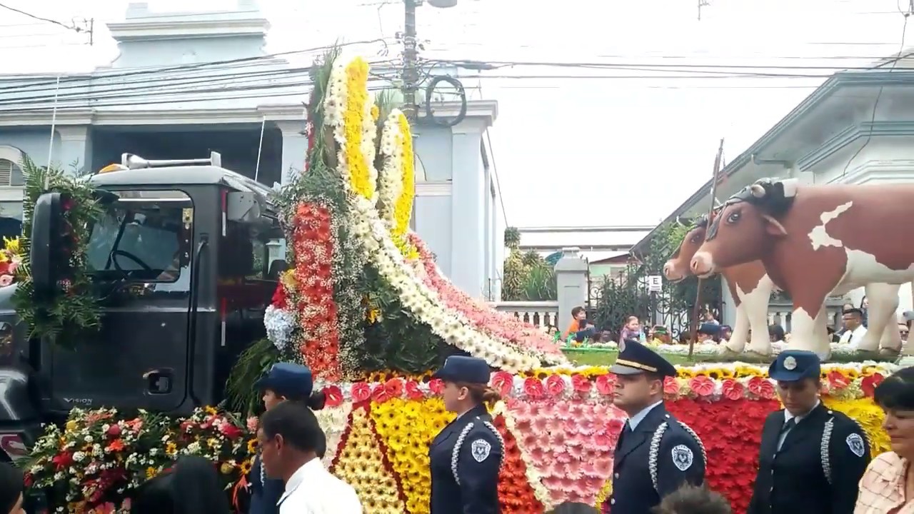 Pasada de La Virgen de Los Ángeles Hacia La Catedral de Cartago 3 de Agosto del 2019 4K