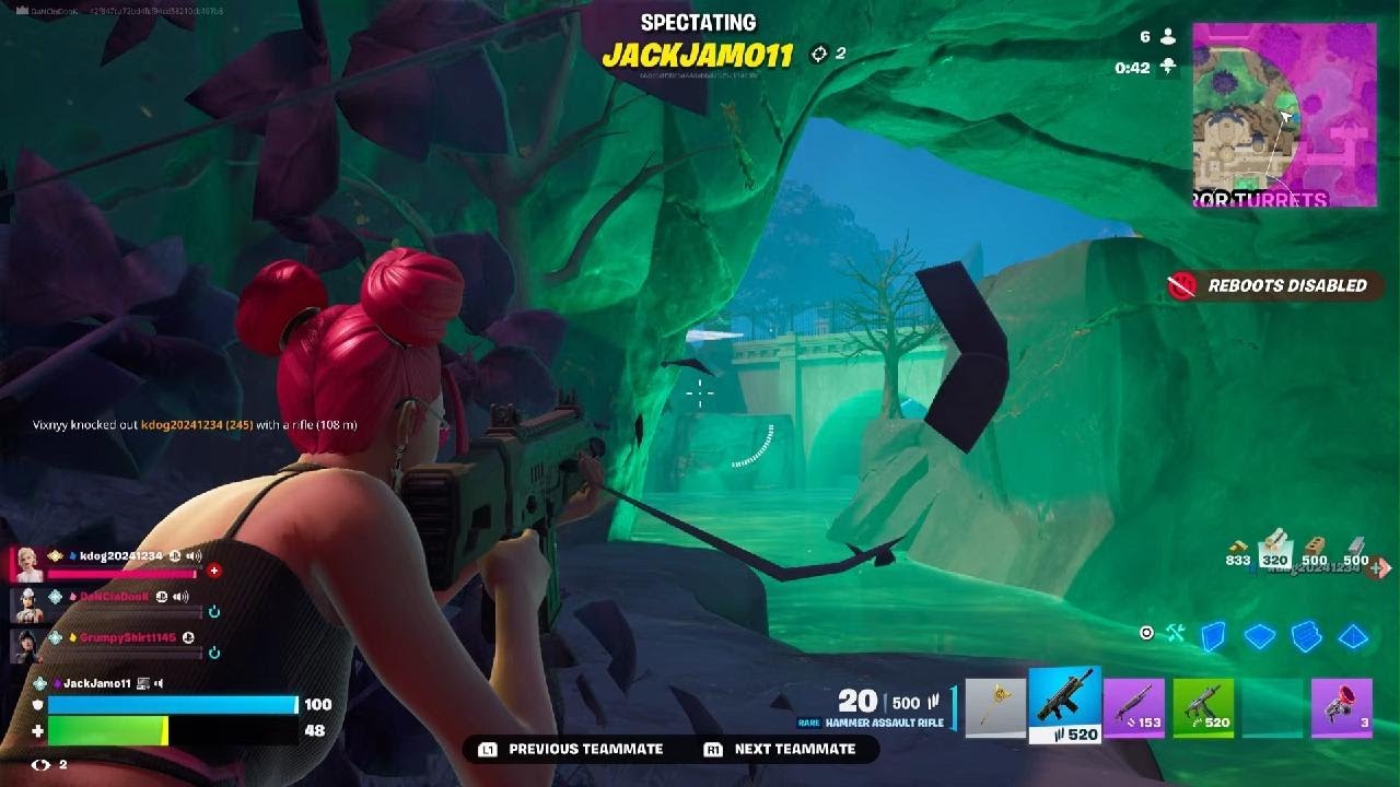 Fortnite_20260214153307
