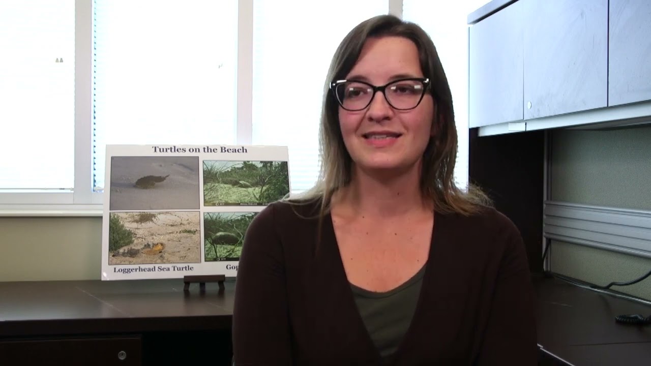 Ship2Shore: Earth Day with Heather Hahn about Sea Turtles