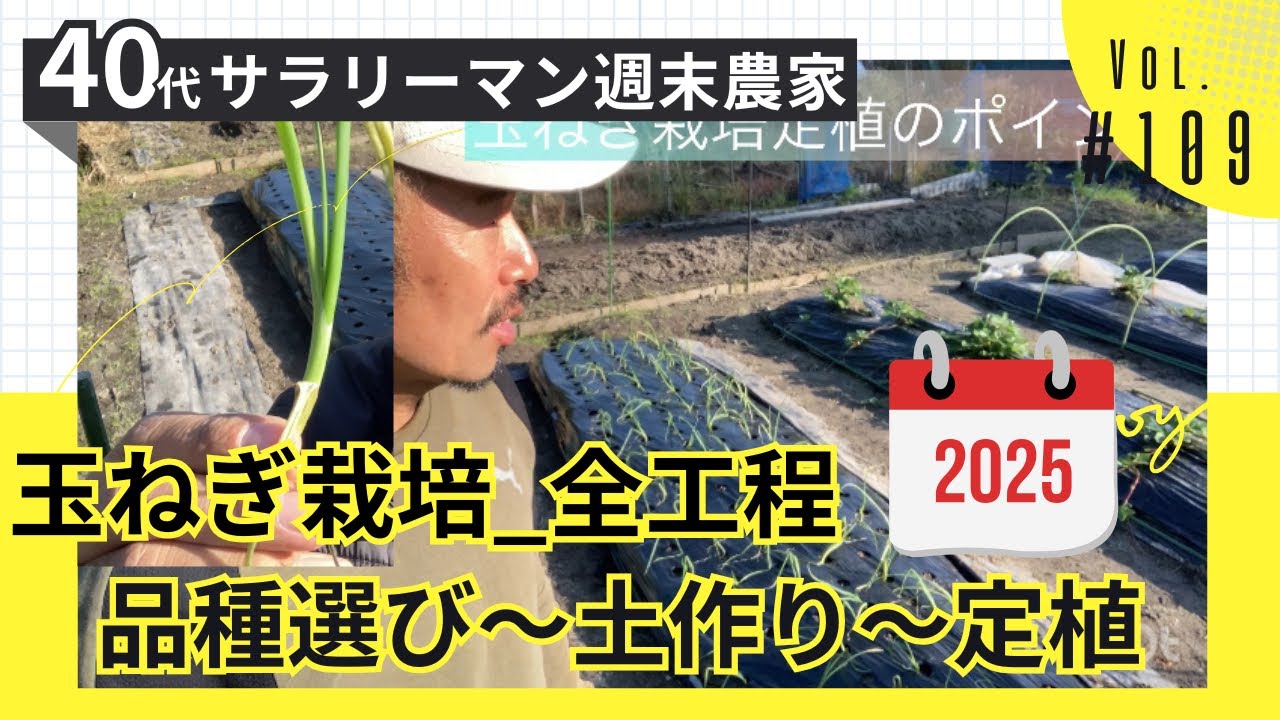 初心者必見！成功する玉ねぎ栽培！極早生・早生の玉ねぎ栽培が成功しやすい理由と土作りから畝作り、定植のコツと霜対策まで一気に紹介【Vol.109_サラリーマン農業】