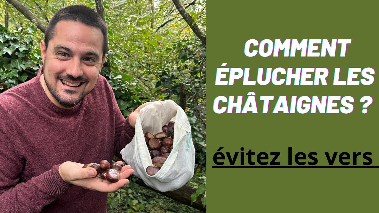 Comment éplucher les châtaignes facilement et rapidement + astuces contre les châtaignes véreuses !