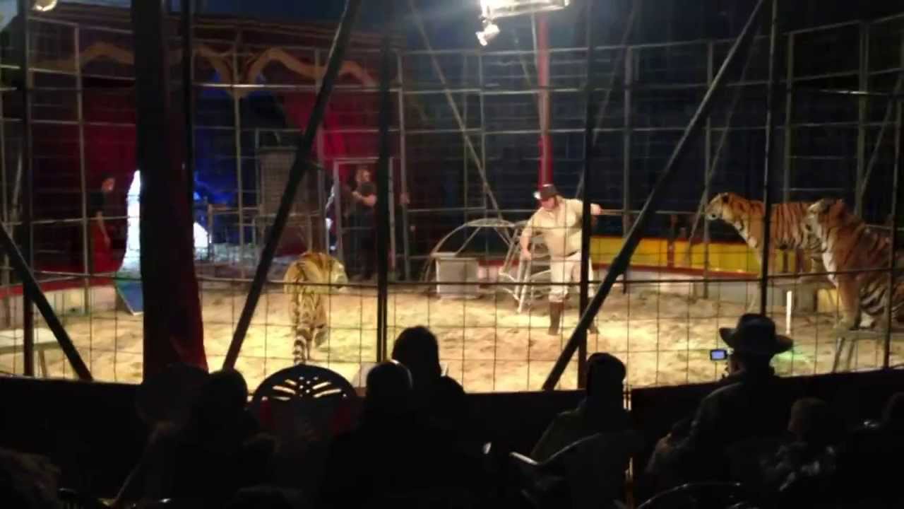 Circus Manuel Weisheit - Sascha Prehn