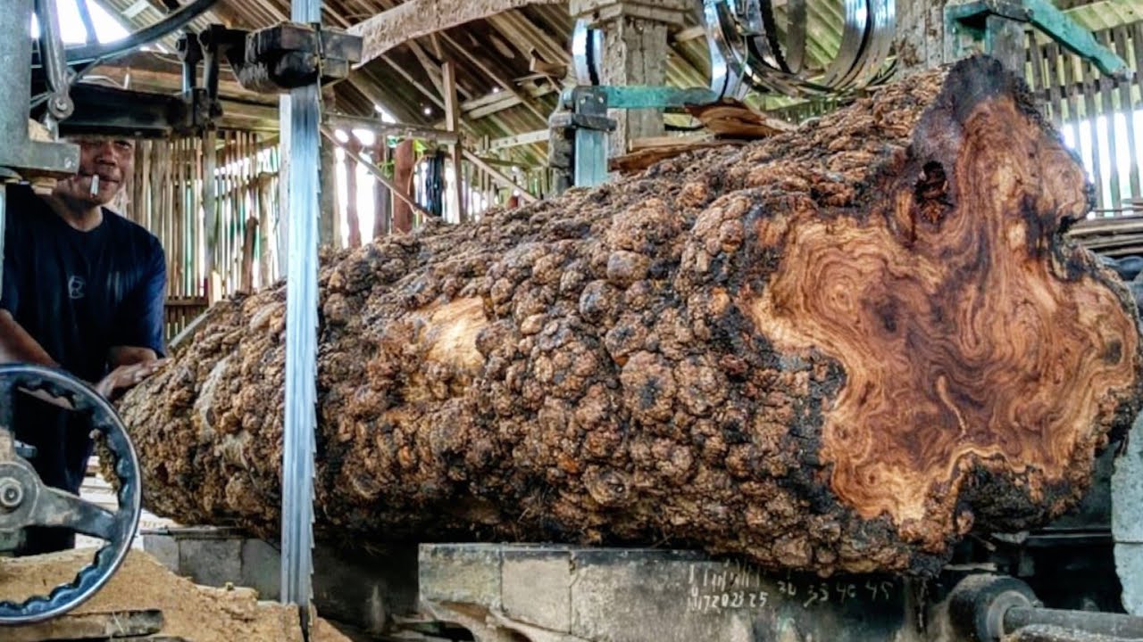 Perfect! A luxurious and some high rare teak sawmill