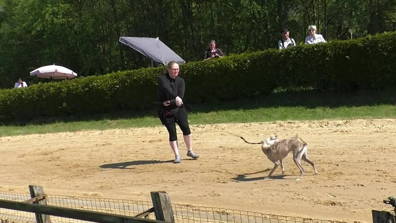 Spassrennen Mai 2024 Teil 1