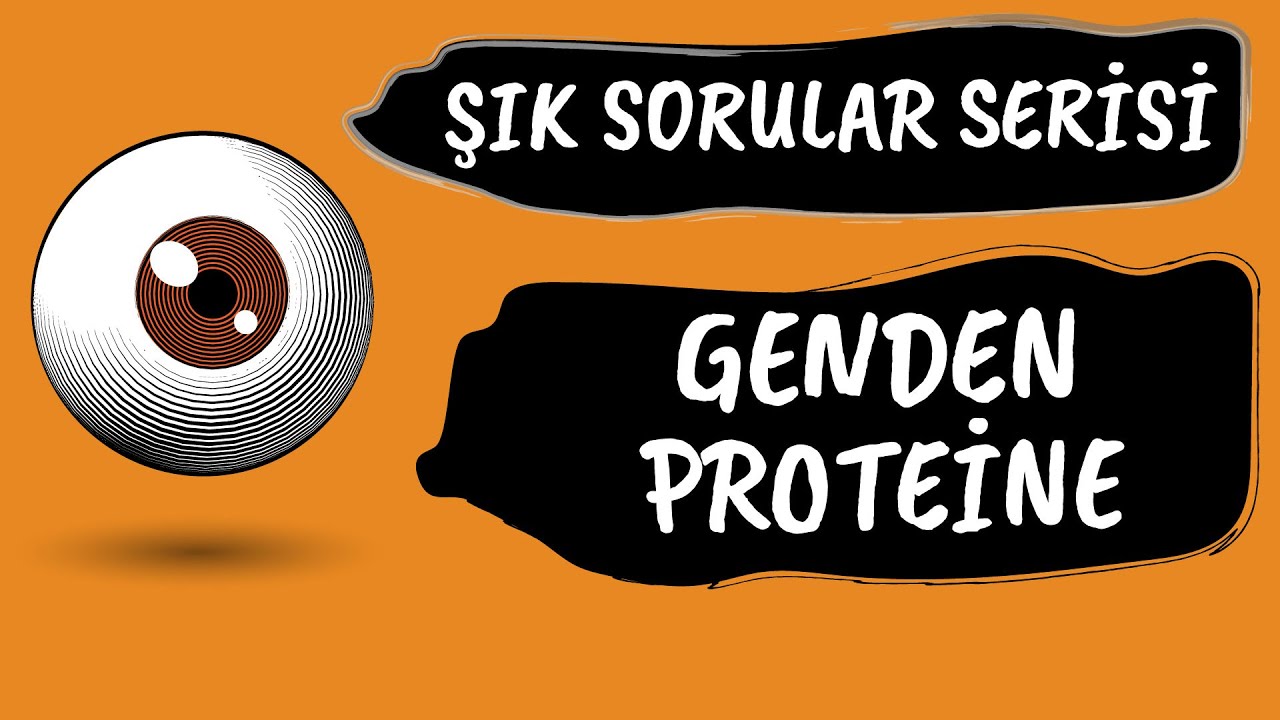 PROTEİN SENTEZİ İLE İLGİLİ SINAVDA GELEBİLECEK 6 ÖNEMLİ SORU #ŞIKSORULAR