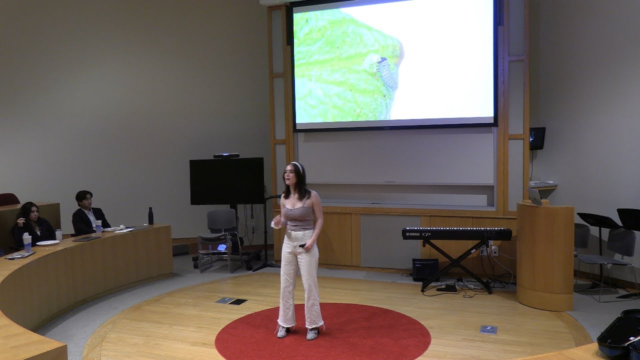 The Chrysalis of Human Development | Francesca Howard | TEDxChoate Rosemary Hall Youth