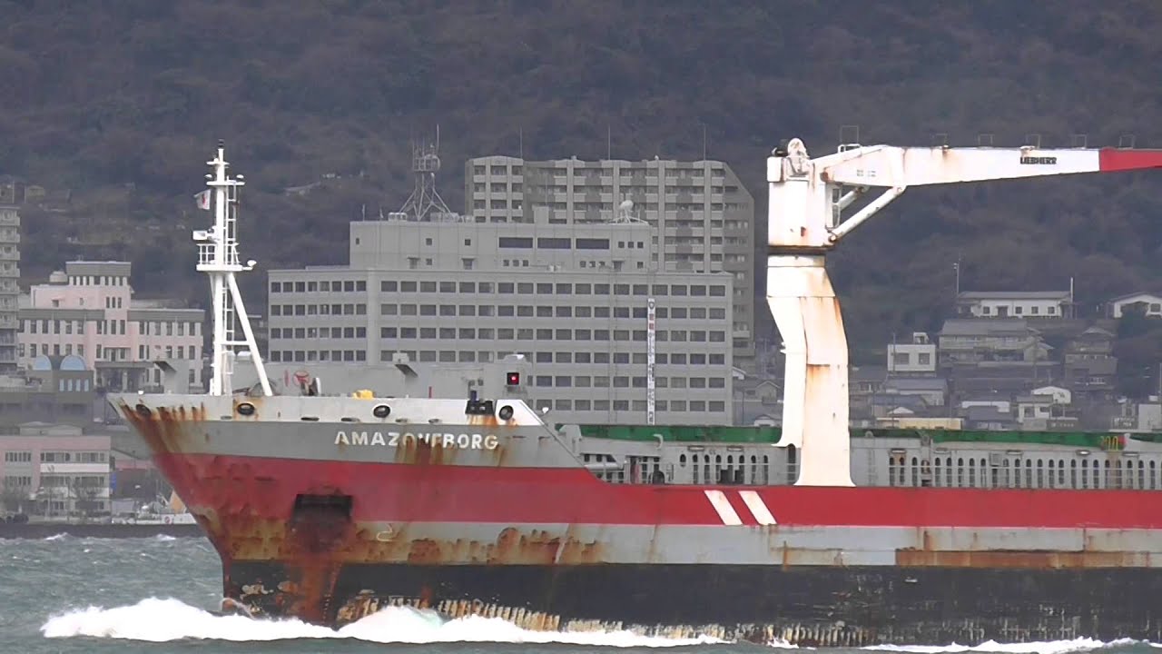 AMAZONEBORG - Wagenborg Shipping multipurpose dry cargo carrier
