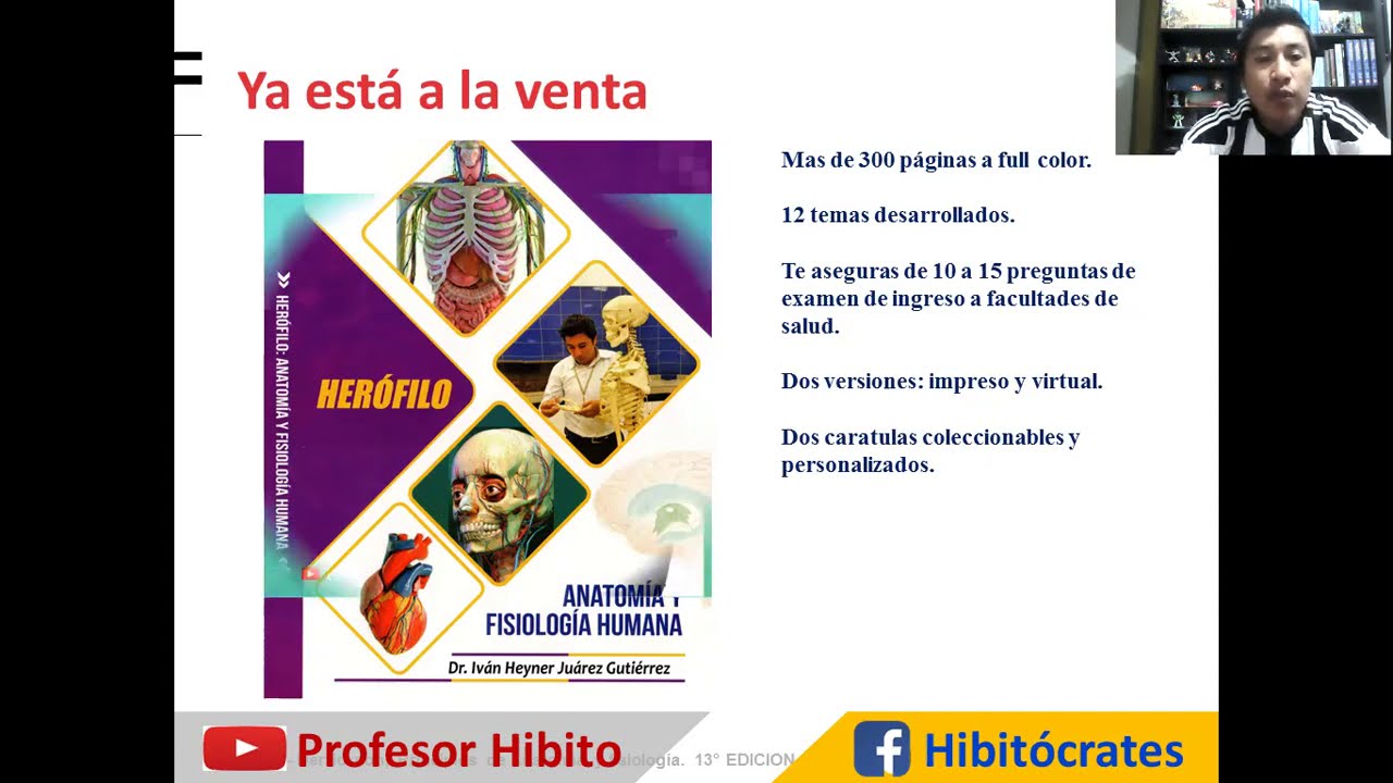 LO NUEVO DEL SISTEMA SENSORIAL - HIBITO 2020