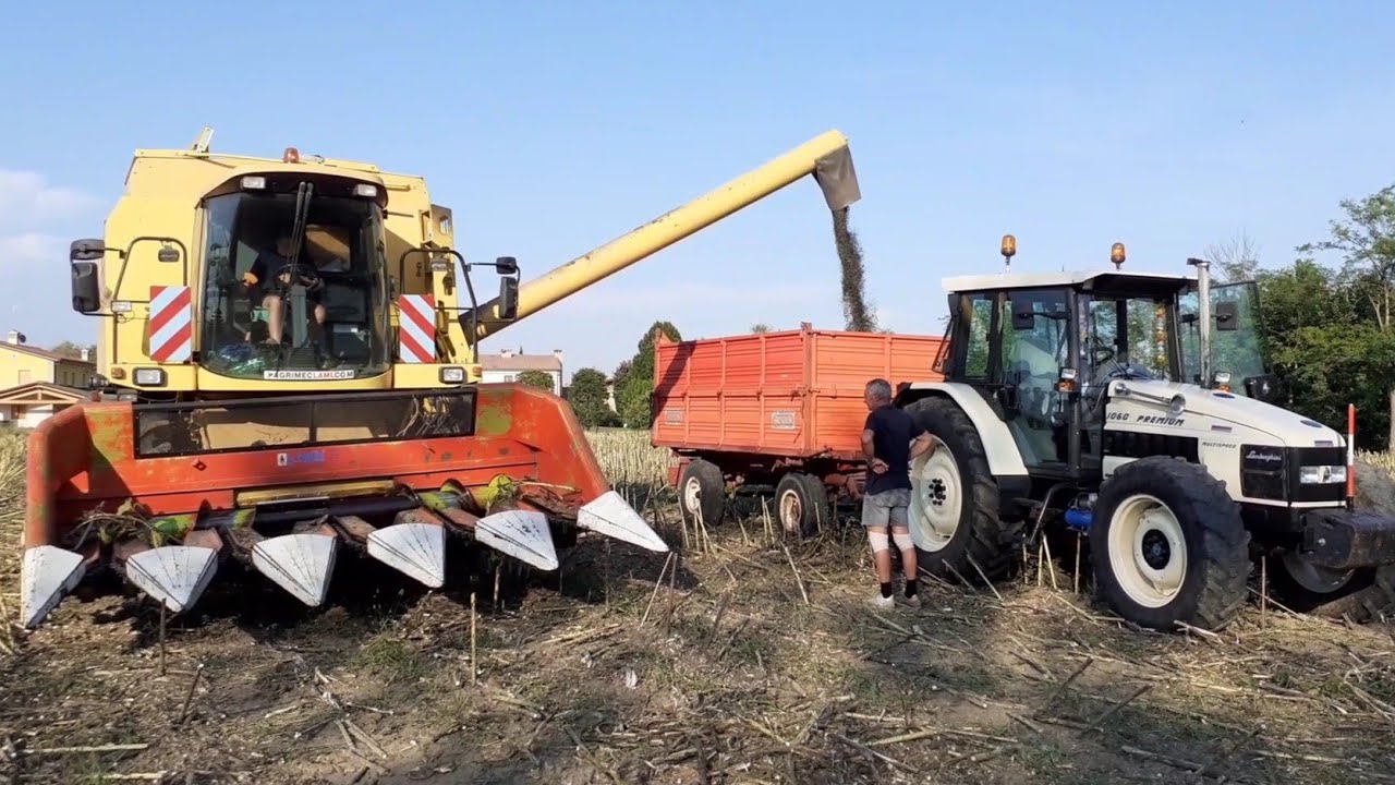 TREBBIATURA GIRASOLI: NEW HOLLAND TF76 | LAMBORGHINI PREMIUM 1060 | JOHN DEERE 6010 | FANTINI