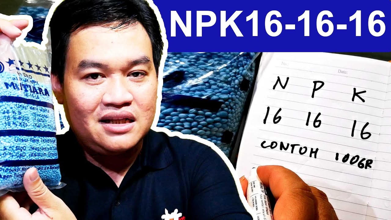 Penggunaan Pupuk NPK 16-16-16 dan Menghitung Dosisnya (PART 1)