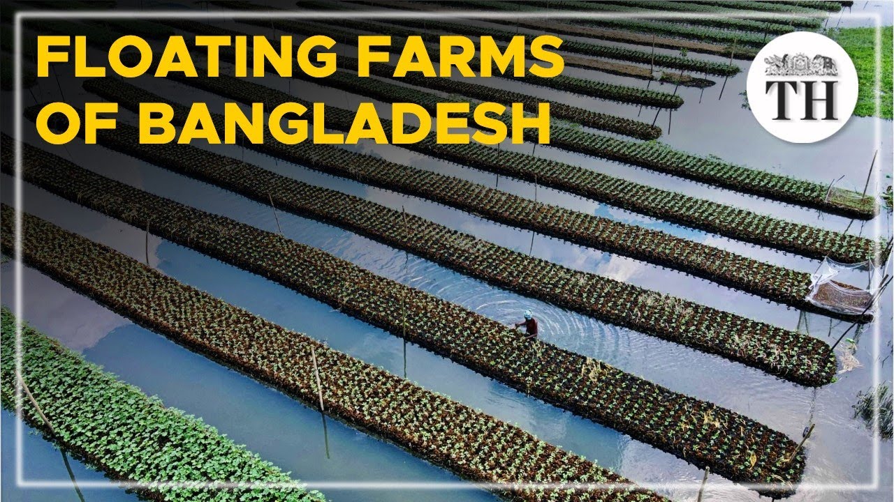 How floating farms help during floods