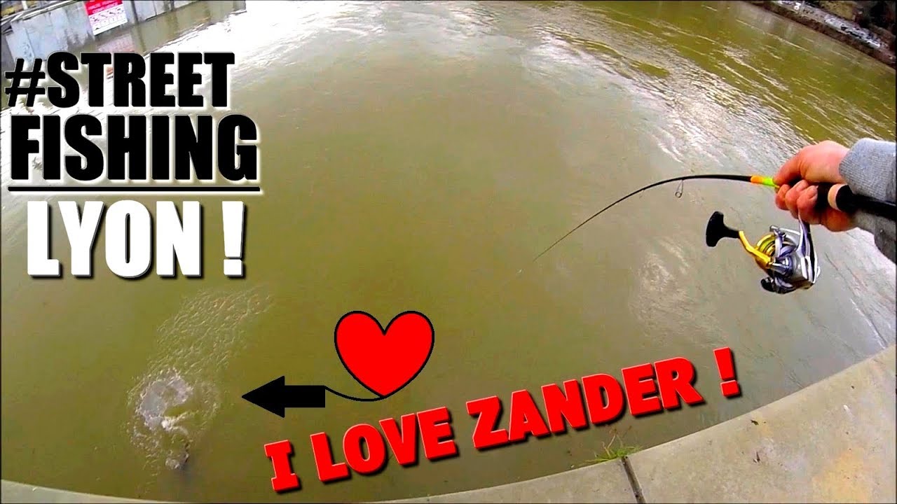 #Street-Fishing à LYON ! Quai de Saône, FOLIE de Sandre !!