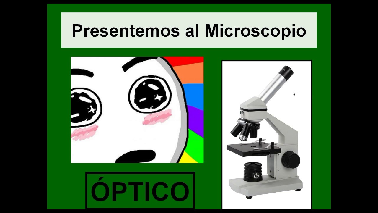 Microscopia fmed UBA parte 1