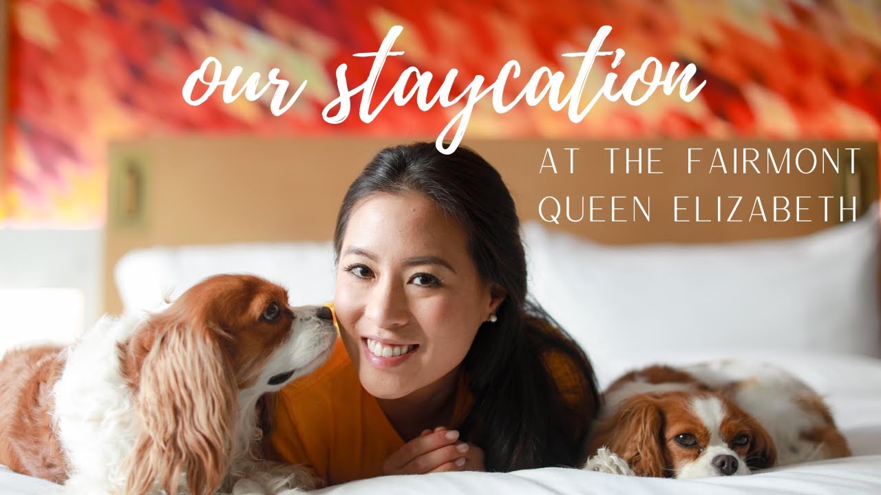 Fairmont Queen Elizabeth Dog Friendly Hotel Review // YOU MUST COME HERE