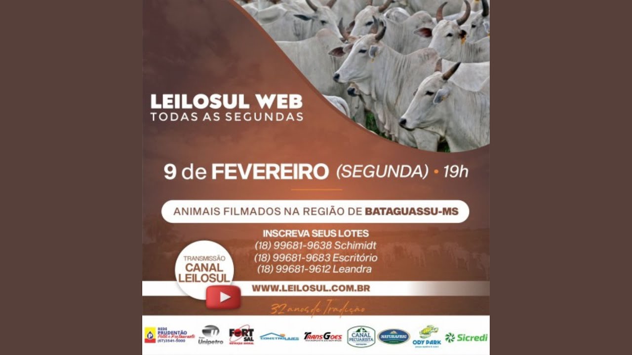 LEILOSUL NA WEB - 09/02/26
