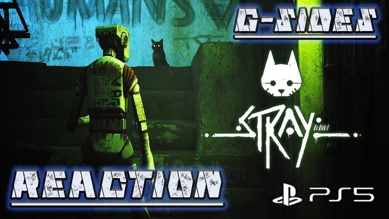 G-SIDES Reacts to the PS5 gameplay event: Stray