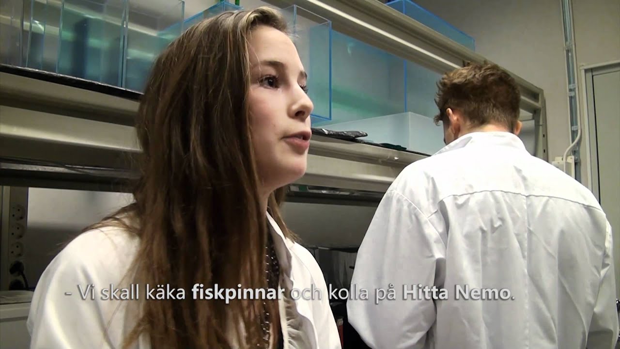 Preklinfilmen HT2010