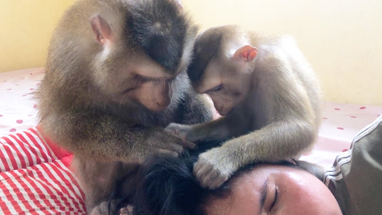 Tutor Jason Instruct Jessa Grooming To Be Effective In Sleeping