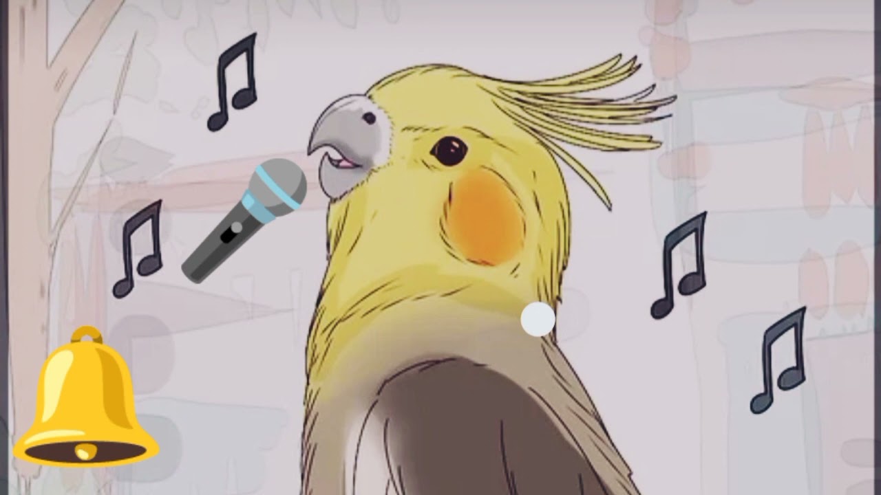 корелла учим 