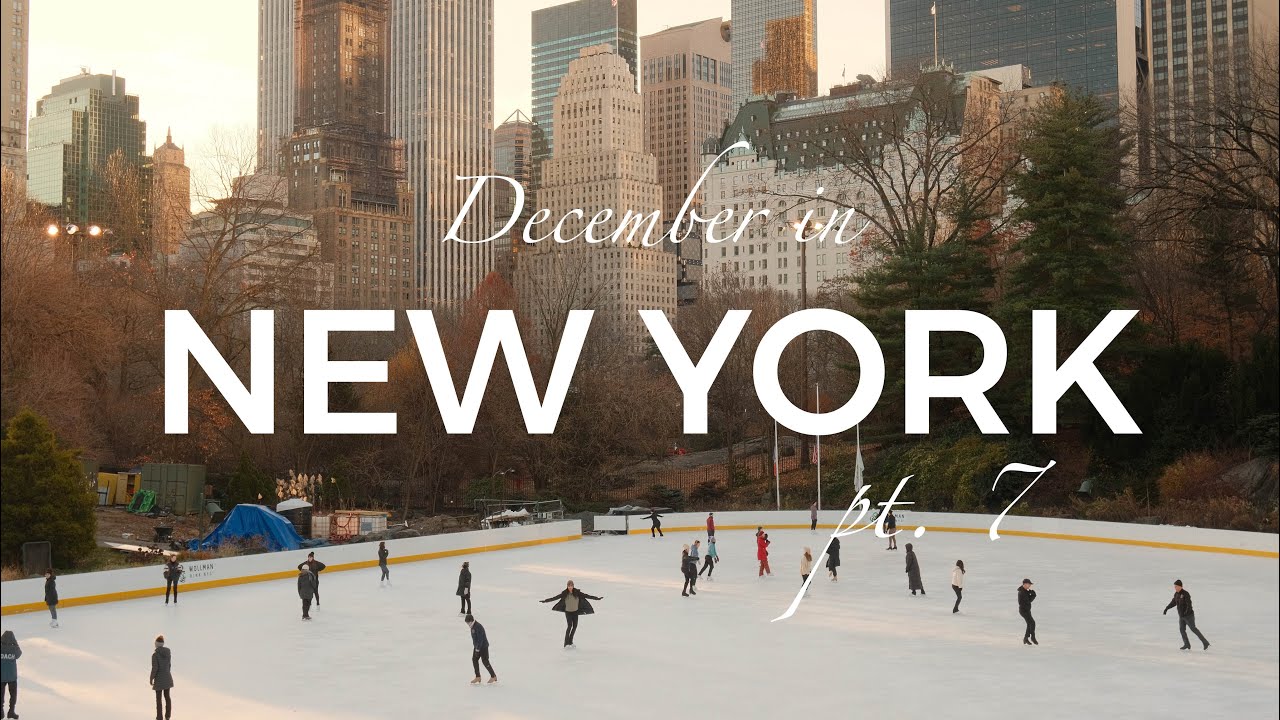 NYC D3 Pt. 2: Proposal, Upper East Side, Ralph’s, The MET, Lexington Luncheonette 