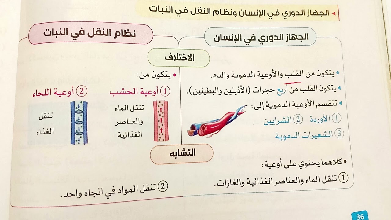 مراجعة على المفهوم الأول ( احتياجات النبات ) علوم للصف الخامس الابتدائي + امتحان | ترم أول