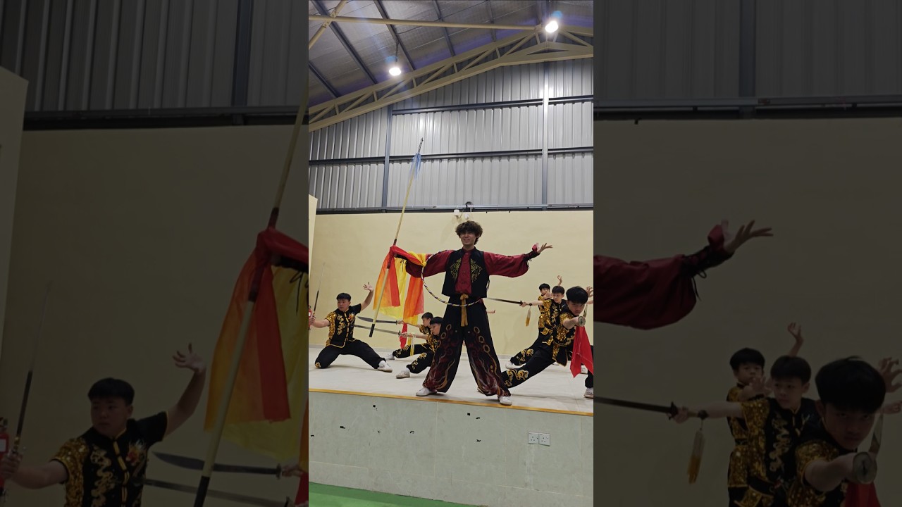 武术表演🤸武舞表演艺术🤸&zwj;♀️李劲松武艺坊 Lee Wushu Arts Theatre