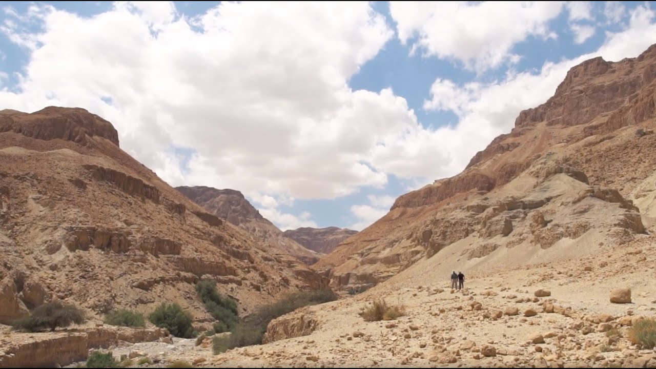 David Water Found in the Deserts of Ein Gedi