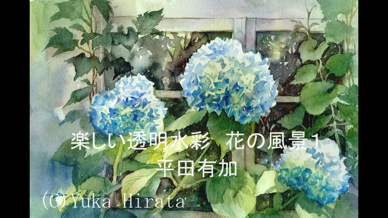 watercolor painting 花の風景1  紫陽花　artist Yuka Hirata
