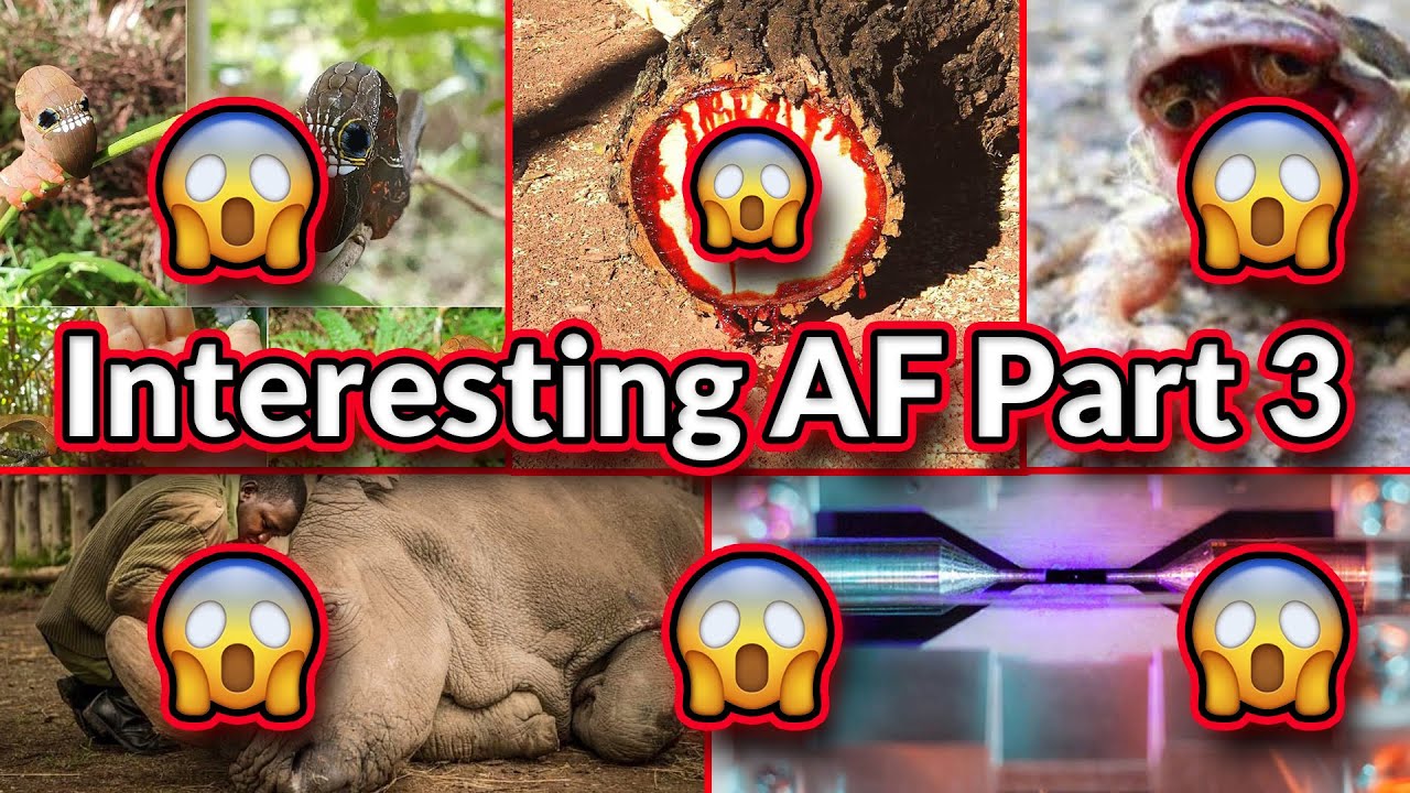 CATERPILLAR LOOKS LIKE ALIEN | Interesting AF Part 3
