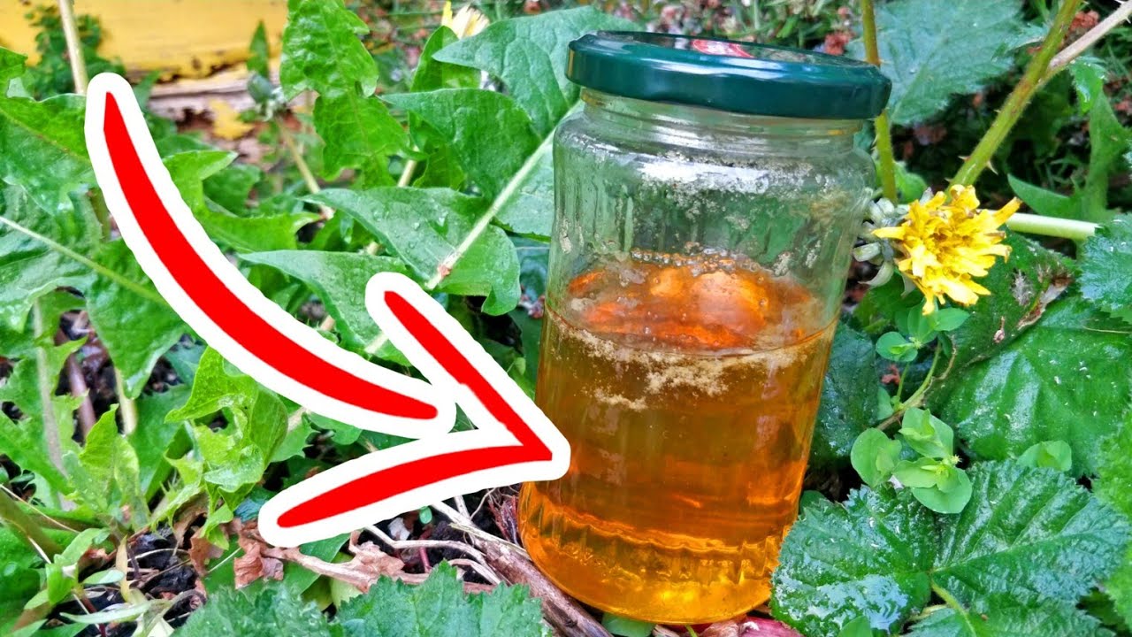 FOOD FORAGING in April