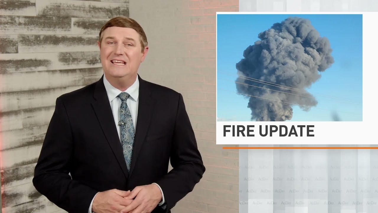 Dairy Farm Fire Update: 18,000 Cattle Possibly Killed in Fire