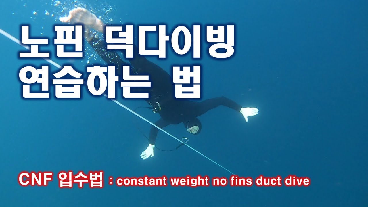 노핀 덕다이빙 연습방법 : CNF 연습하기 입수법편~!!