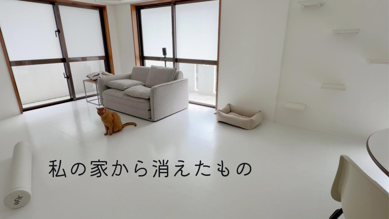 [ミニマリスト]捨てたら生活がラクになった|やめた習慣