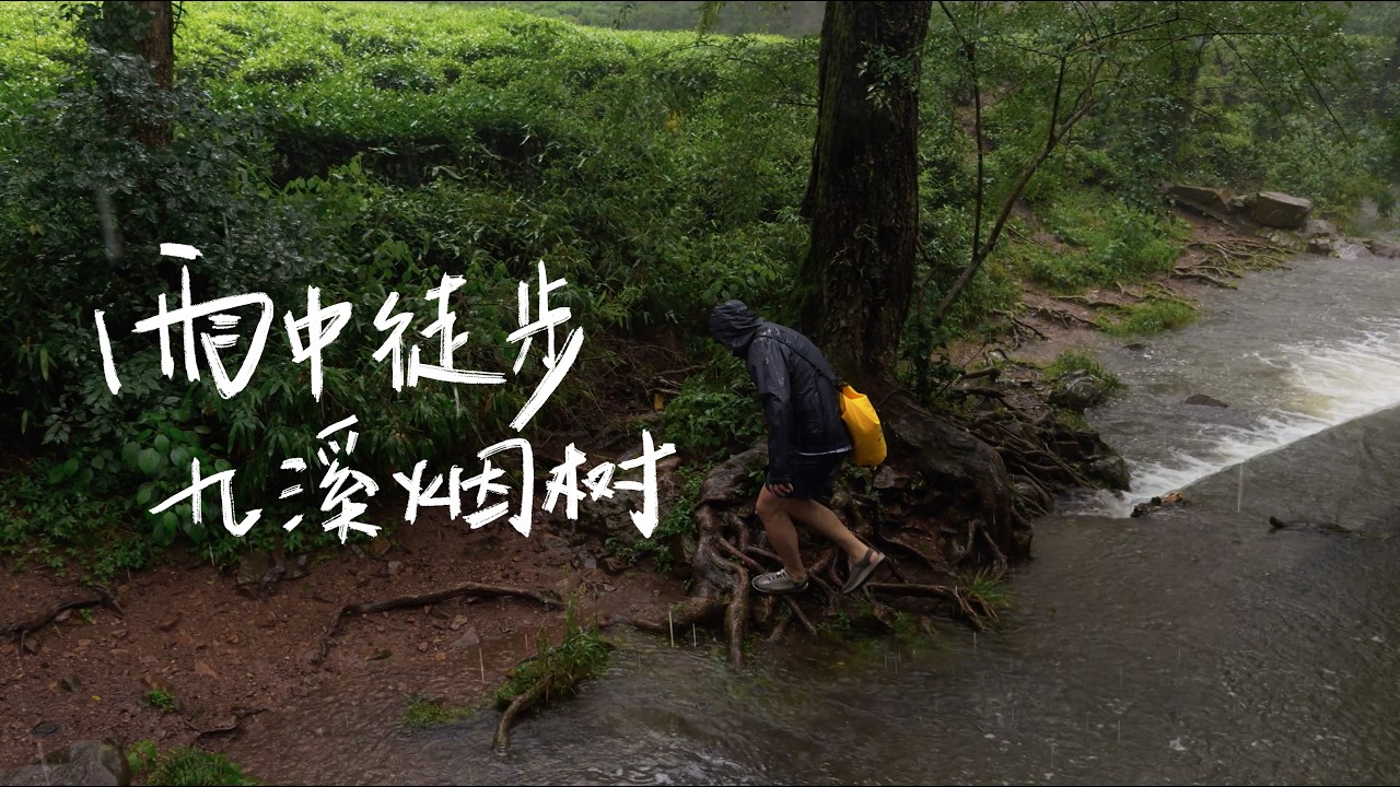 杭州梅雨季最开心的就是在雨天去[九溪烟树]徒步！(包含线路和攻略)