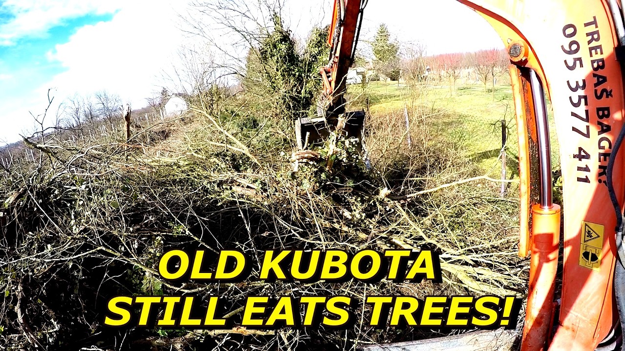 Total Land Clearing with 3.5T Mini Excavator | No Music, Pure Power!