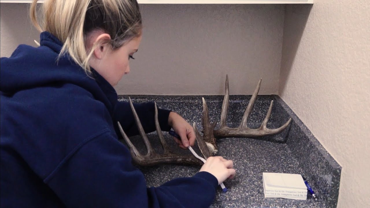 HOW BIG IS HE? Scoring my shed buck!