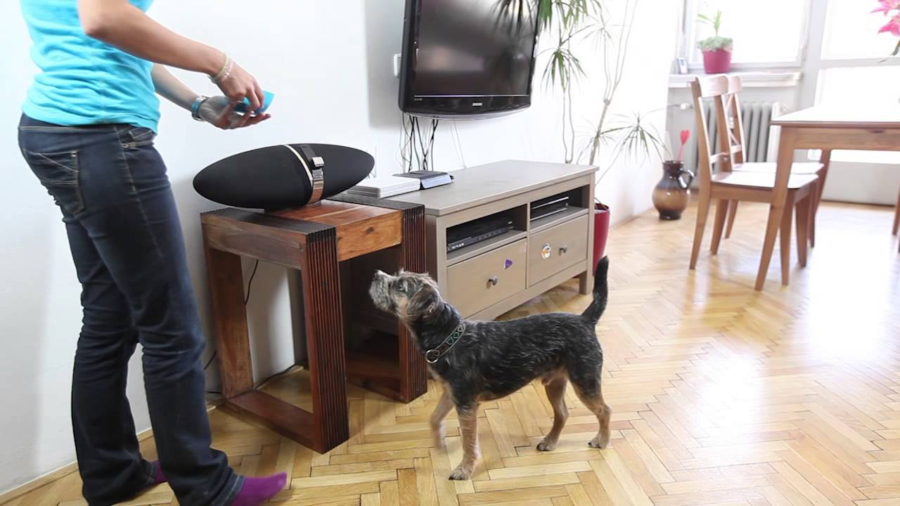 Training Tips CZ - Část 48 Loudění