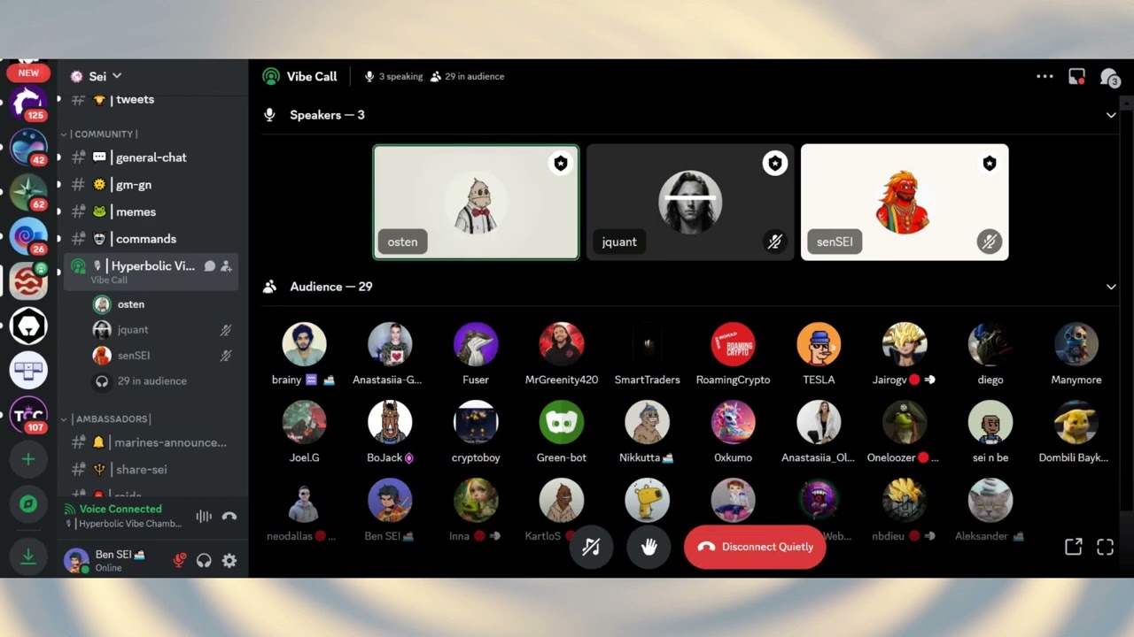 Sei Discord Vibe Call Episode 6: A Discussion with Sei Labs Core Member, Jquant