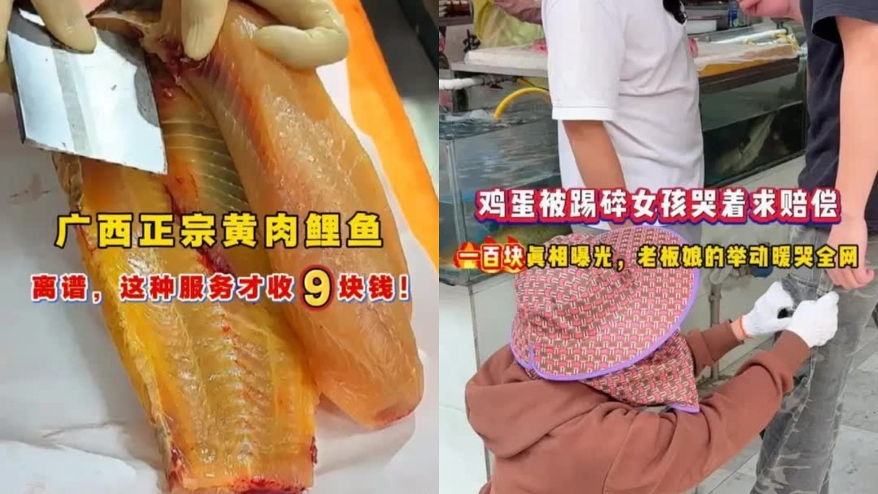 广西正宗黄肉鲤鱼 广西正宗黄肉鲤鱼，离谱，这种服务才收9块钱！,鸡蛋被踢碎女孩哭着求赔偿 鸡蛋被踢碎女孩哭着求赔偿，一百块真相曝光，老板娘的举动暖哭全网#菜市场暖心事 #花鱼处理手法 #杀鱼西施