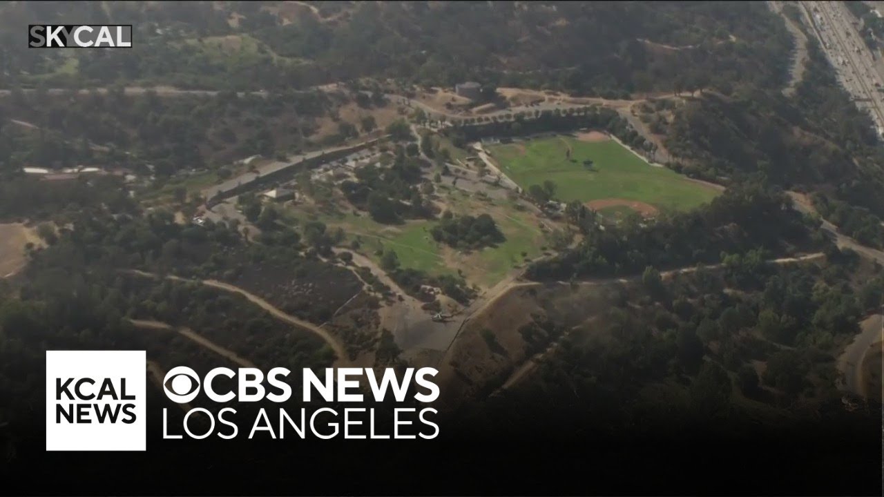 Elysian Park | Look At This!