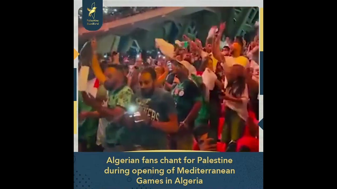 #Algerian fans chanting for #Palestinian people 🤍🇵🇸