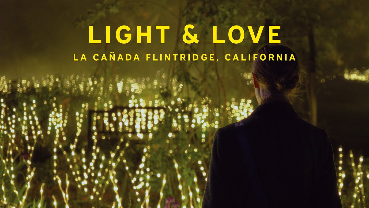 light & love holiday lights | sony a6700 low light + sigma 23mm f1.4 bokeh