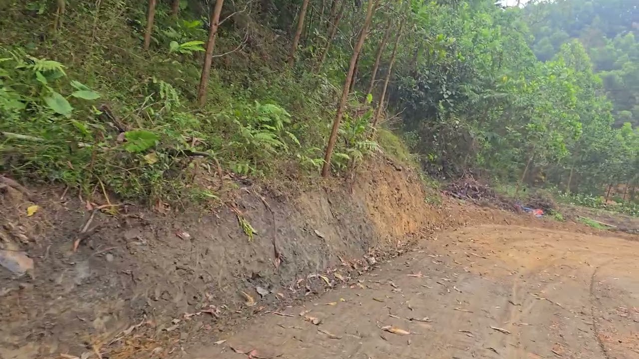 ĐƯỜNG VÀO RỪNG ĐÃ ĐẸP HƠN RẤT NHIỀU, CÓ THỜI GIAN MINH SẼ ĐI HẾT CÁC ĐƯỜNG