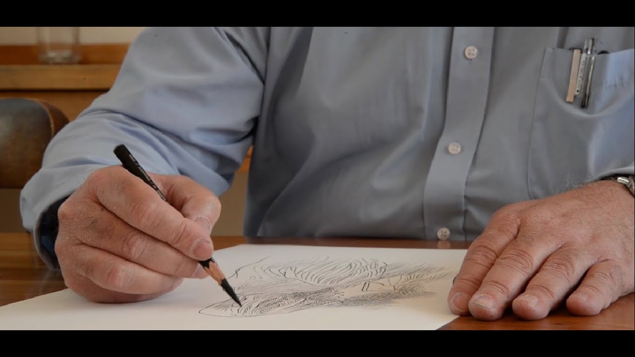 Illustrating Poetry - Chris Riddell for The Poetry Society