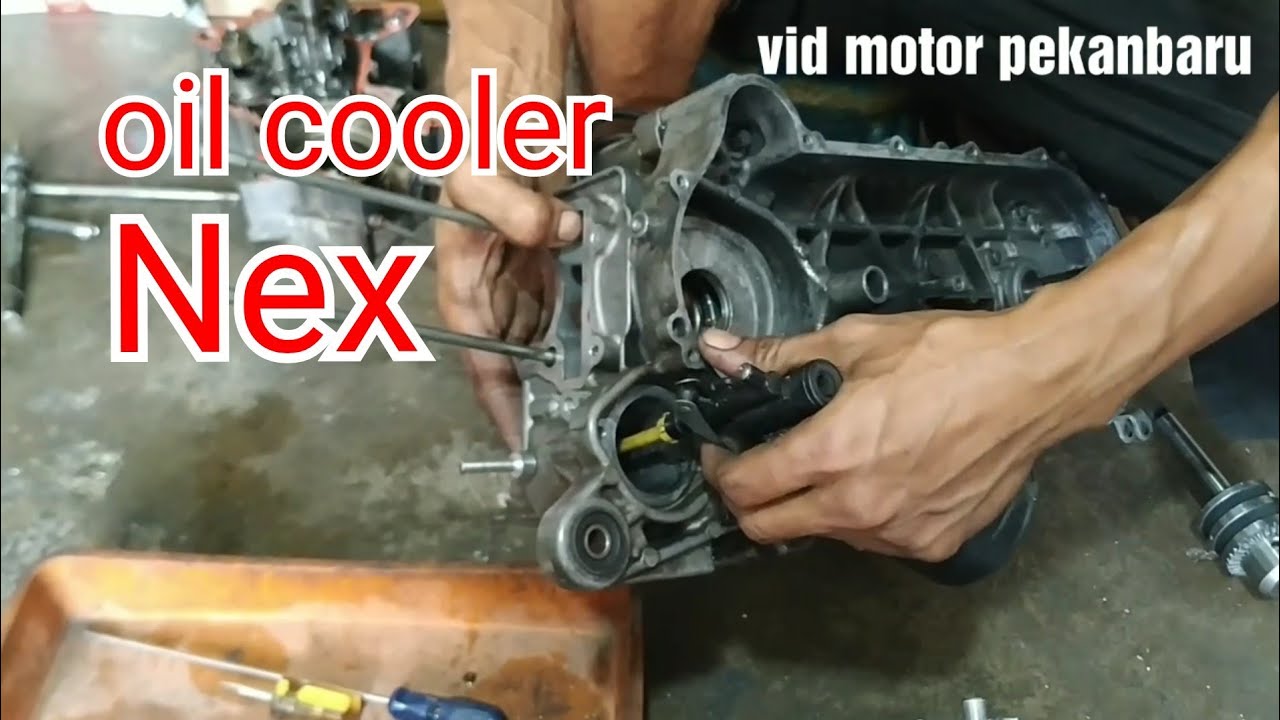 Oil Cooler Suzuki Nex