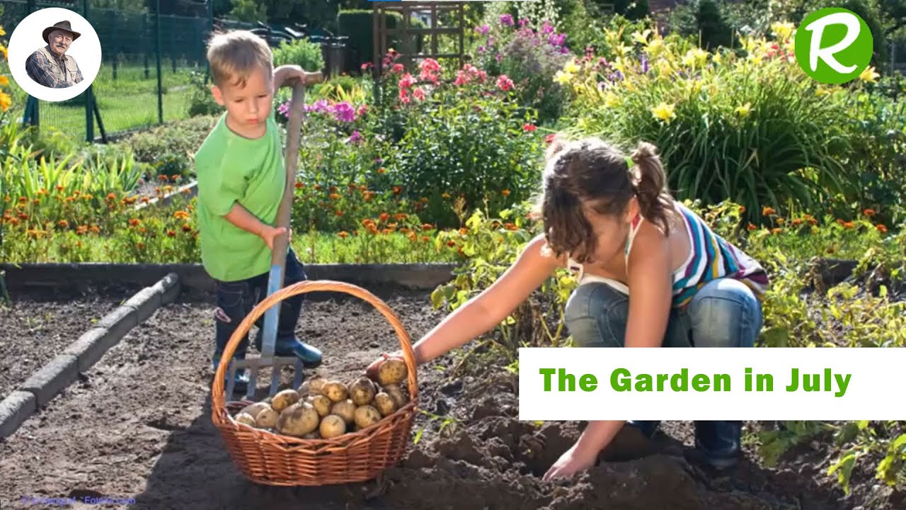 What to Do in the Garden in July: Tips and Best Practices